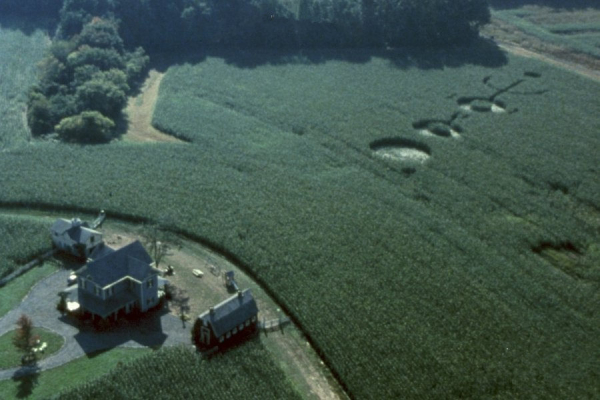 独立日外星人入侵视频,独立日2外星人入侵地球电影