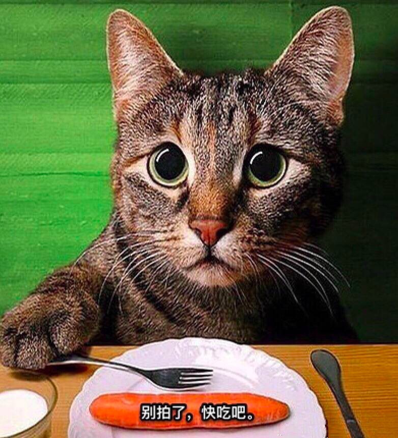 lifeistough｜比起鸡汤你可能更需要来一场暖心日本行