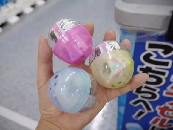 什么萌物好养又干净又便宜,萌物推荐