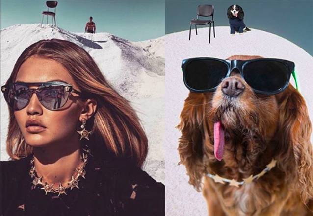 想要成为网红,想要成为网红需要什么条件