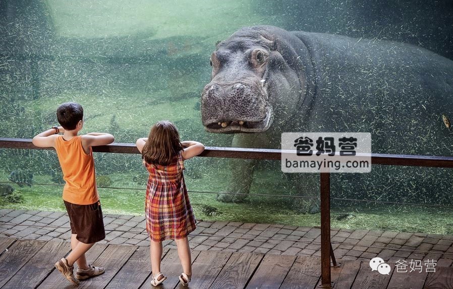 我是怎么在旅行中让娃学会英语的？7大技巧，分分钟牛娃！