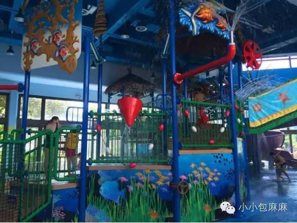 广州长隆动物园一日游攻略,长隆动物园和海洋公园哪个值得去