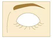 简单的日常妆容打个粉底和遮瑕膏,新手化妆入门教程眼妆睫毛