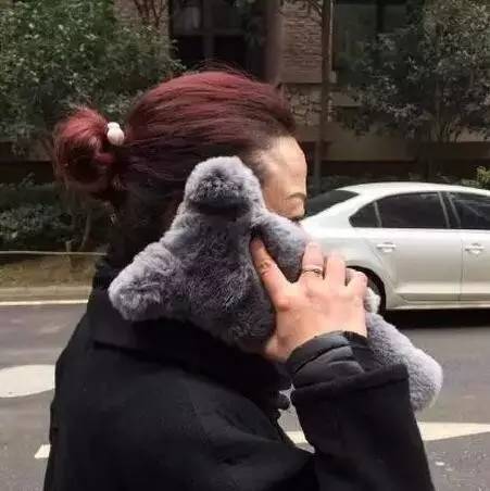 通州建设3年前和通州擦身而过的宜家又有戏了?网传选址潞城!