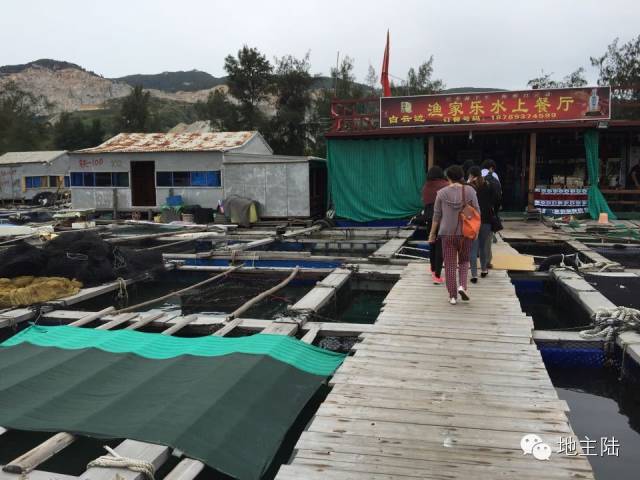 海南吃鸡视频大全集,海南吃鸡游戏大全