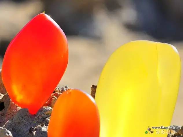 金丝玉路线图高清,戈壁玉与金丝玉区别在哪个地方