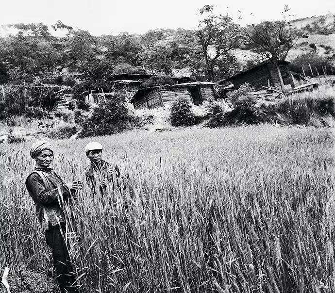 云南白族的简介,云南民族历史