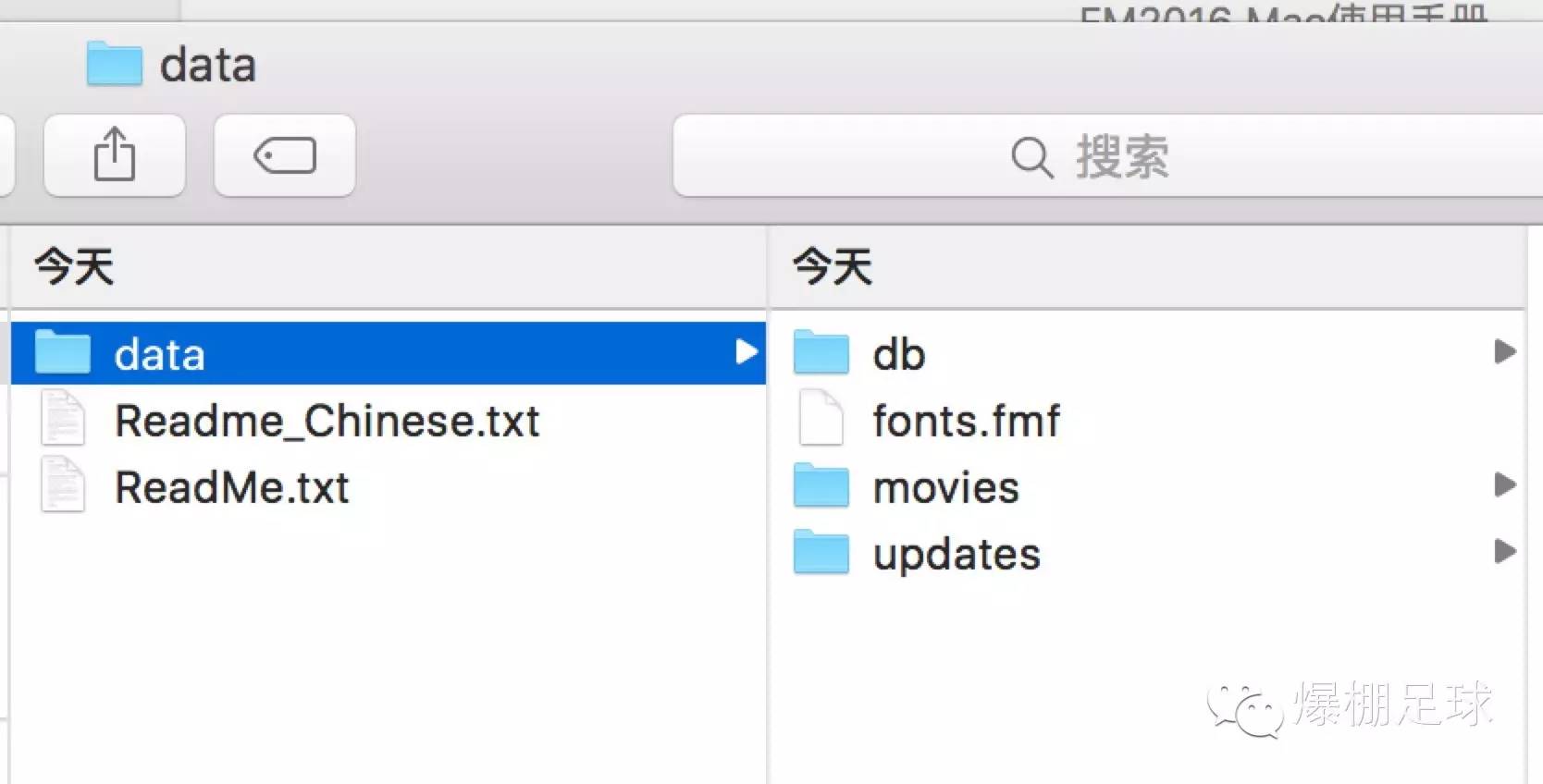 fm2016编辑器汉化版,fm2016英文版新手教程