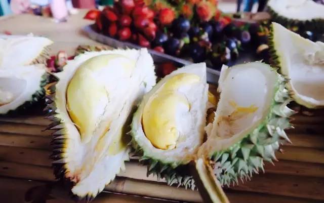 说吃就走的芭提雅南昌出发（最强攻略）亚航年中大促销