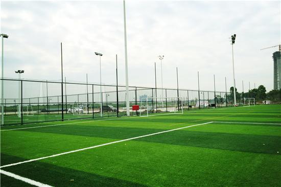 足球鞋不在草地上踢选哪个,踢一次足球选鞋