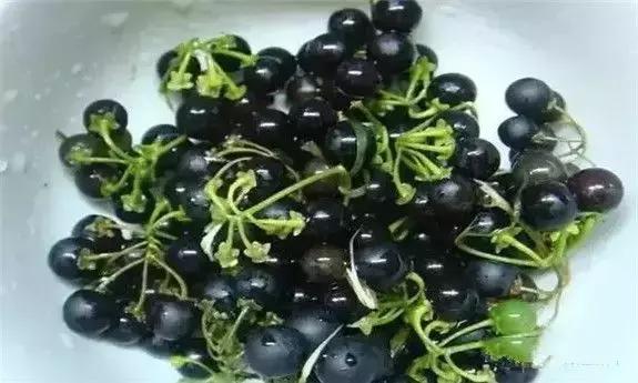 牡丹江人有福吗,牡丹江人生活好吗