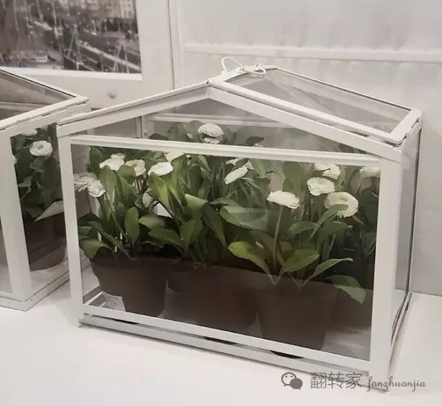 逛宜家，小花的新家购置