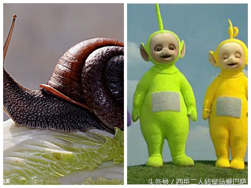 女田径运动员奇怪造型,运动员发型奥运会女生