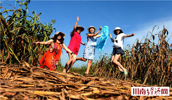 泸州人家红高粱,泸州红高粱38度价格