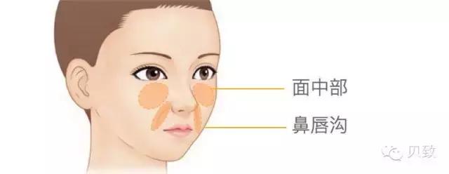 正畸专家介绍图,正畸医生关于整牙的10条建议