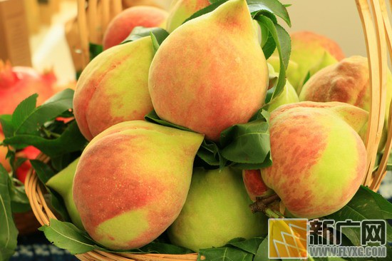 电子商务得以发展的条件是,蒙自电子商务扶贫