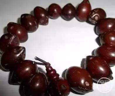 菩提有什么本事,菩提招财辟邪