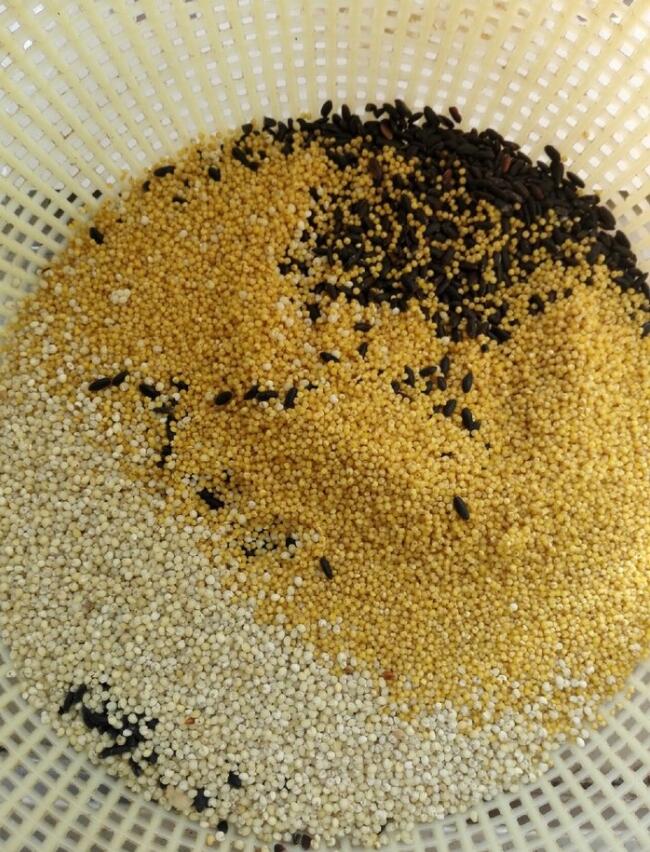 鲫鱼排名第一饵料秘方,鲫鱼爆护饵料