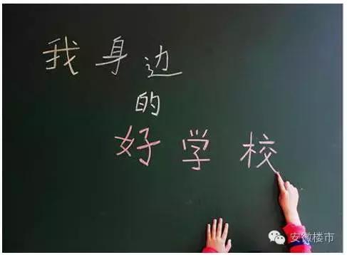 合肥中小学排名前十名,合肥十大重点小学学区房价一览表