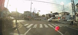 尾气猫,尾气猫视频