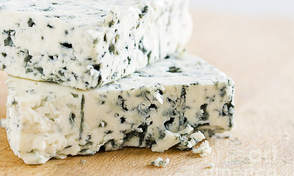 一帖看全常见芝士！麻麻再也不用担心我在超市芝士柜迷路了