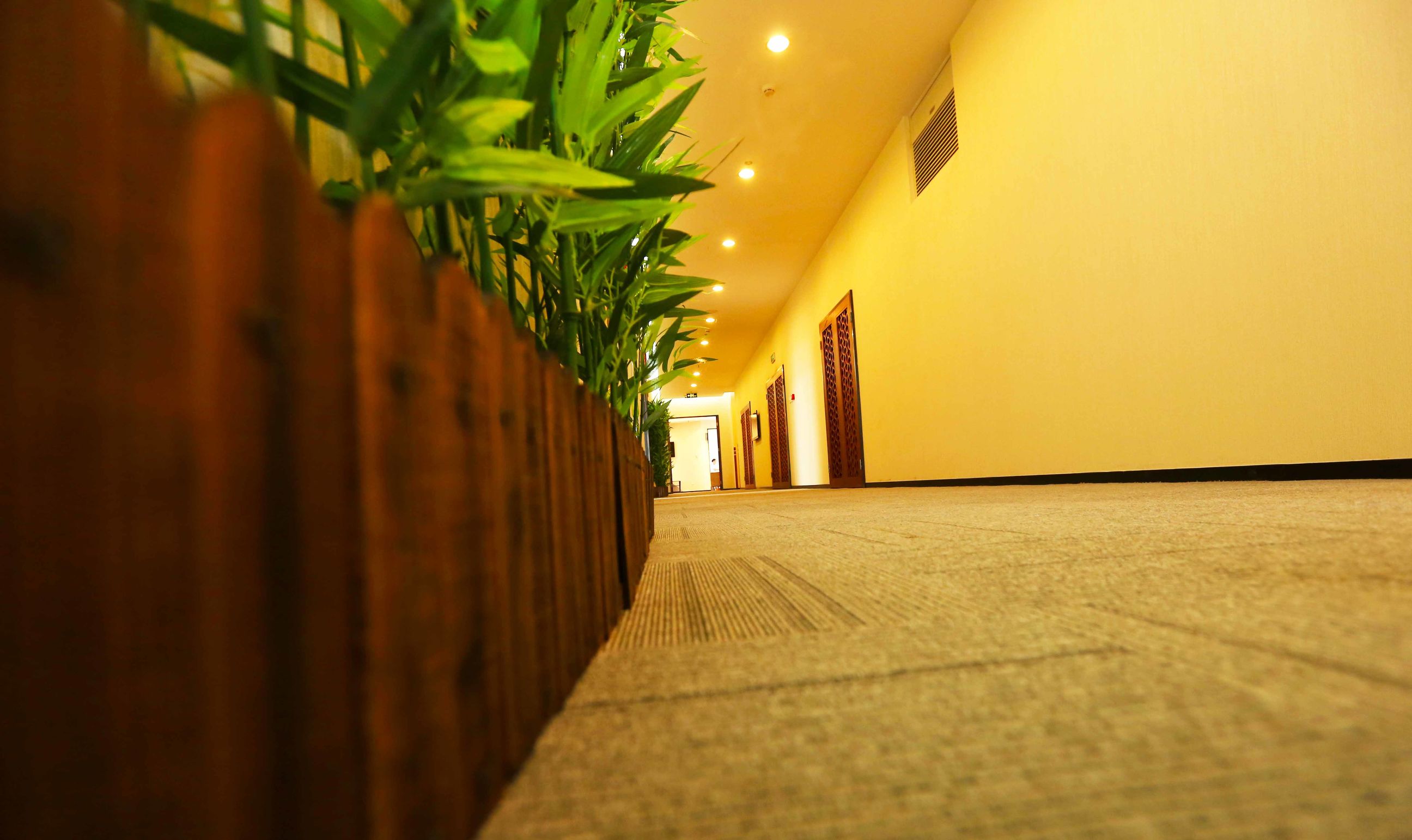 306医院健康查体怎么预约,306医院官方网站