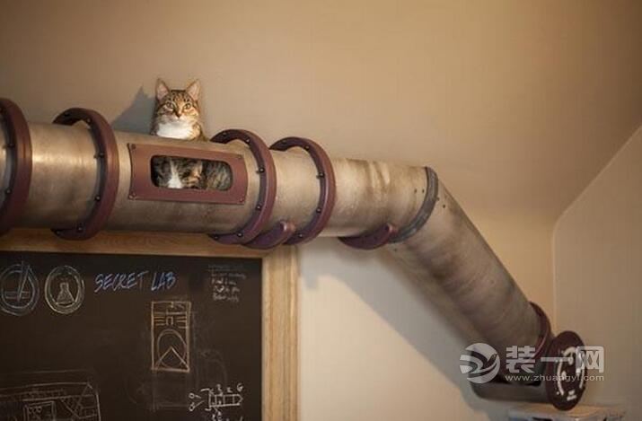 家里有猫咪应该怎么准备装修,养猫咪家里要怎么装修