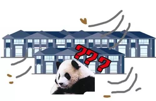 中国运动员在巴西被偷,奥组委这样补偿行不行?