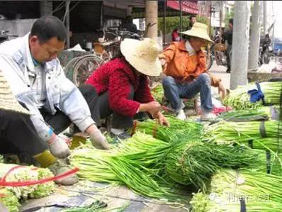 一个农村80后女孩的创业,80后农村女性创业故事