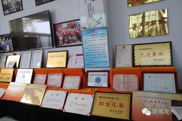 当传统企业遇上“互联网+”，看陇南这几个企业如何转型~