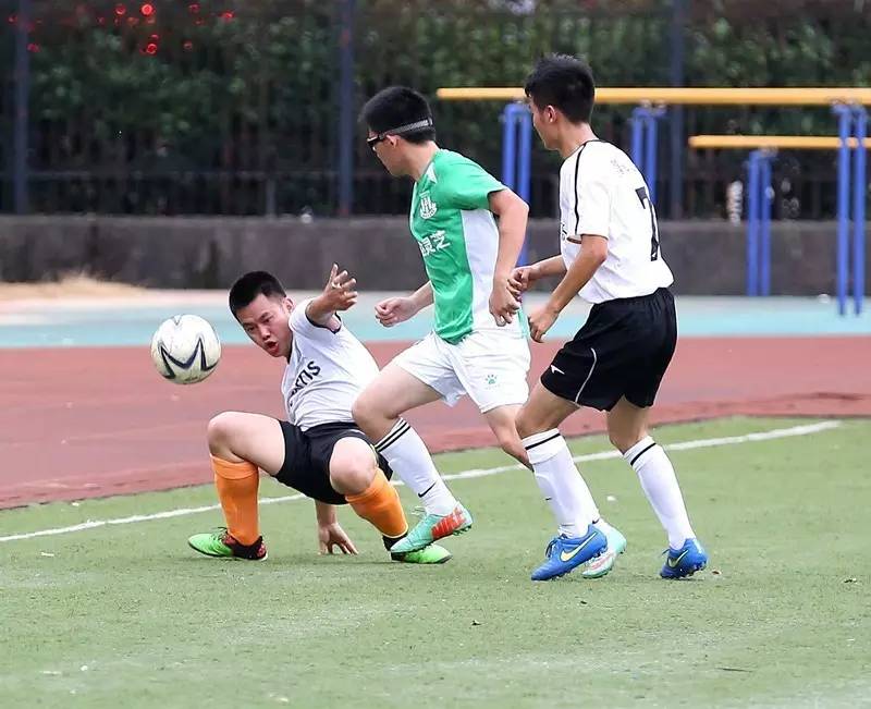 成都市龙泉驿区足球协会,龙泉足球协会