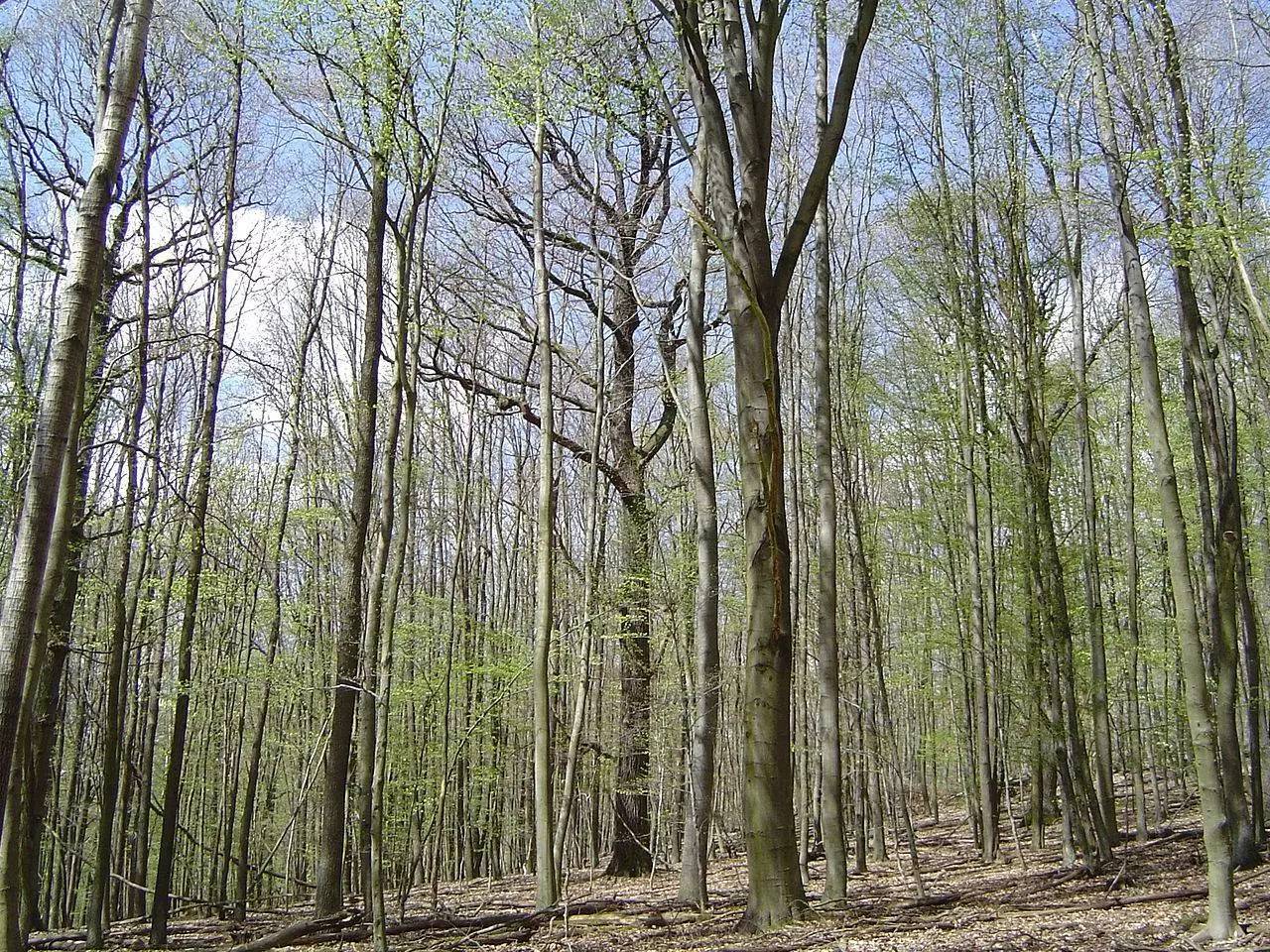 除了饥荒还有什么好玩的,怎么造冰箱饥荒