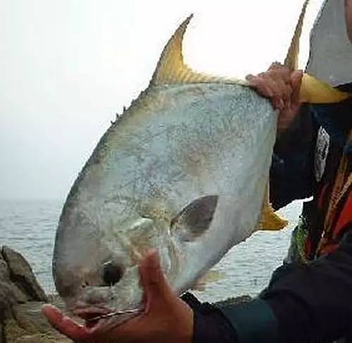 万山岛钓点地图,万山岛钓点怎么选