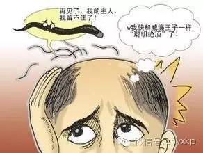 如何零成本治脱发,简单不脱发的教程
