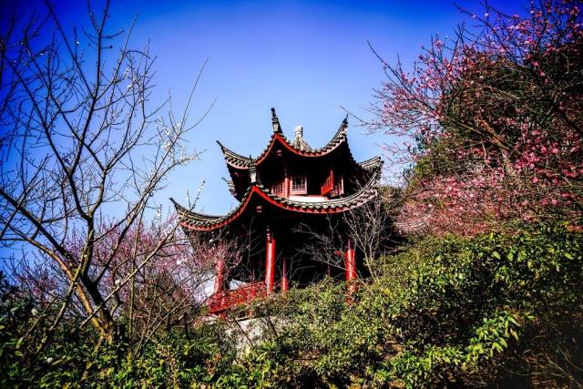 宁波最不好的区是哪个,宁波最落后的三个区