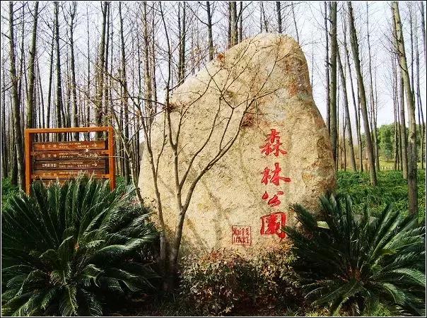 如果有人问你哪个地方最重要,如果有人问你哪里好玩