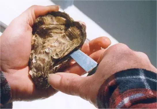 烟台海鲜什么季节最好吃,逼格最高的烟台海鲜