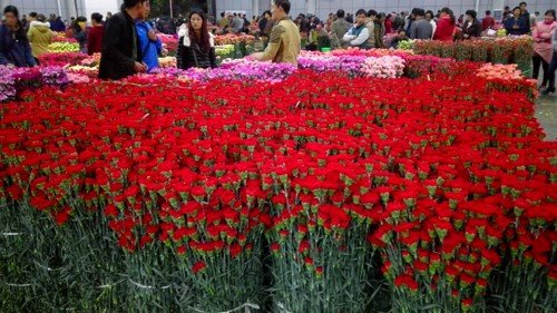 云南红河哈尼族彝族自治州美食,云南红河哈尼族彝族自治州小吃