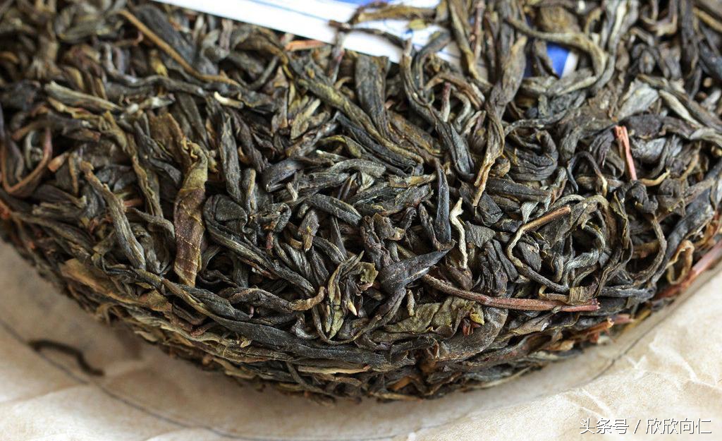 普洱茶30秒入门,普洱茶直播入门知识