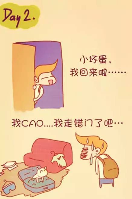 陪伴是最长情的告白你同意吗,陪伴是最长情的告白请勿连赞