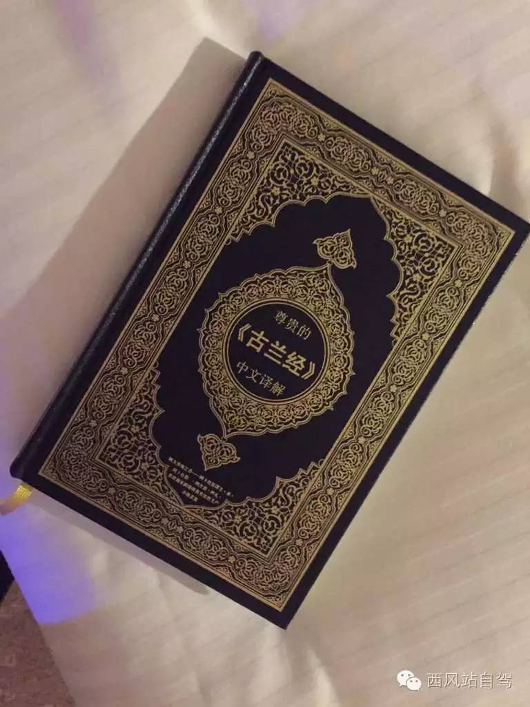 巴林|别只知道迪拜，海湾土豪圈居然藏着个小清新岛国！