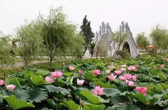 济南11月份有什么好玩的地方,济南春节好玩的地方推荐