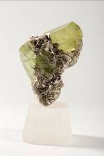 中国地质博物馆百年，这30件藏品亮瞎你的双眼