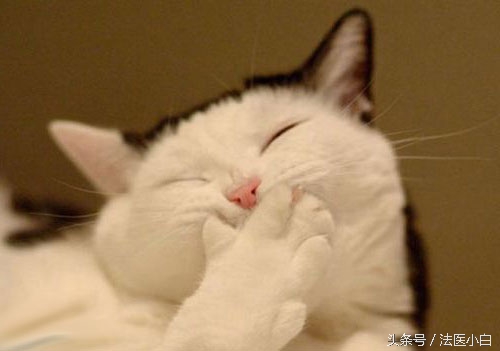 怎么查询亲子鉴定报告的可靠性,亲子鉴定结果是97.99%是亲生的吗