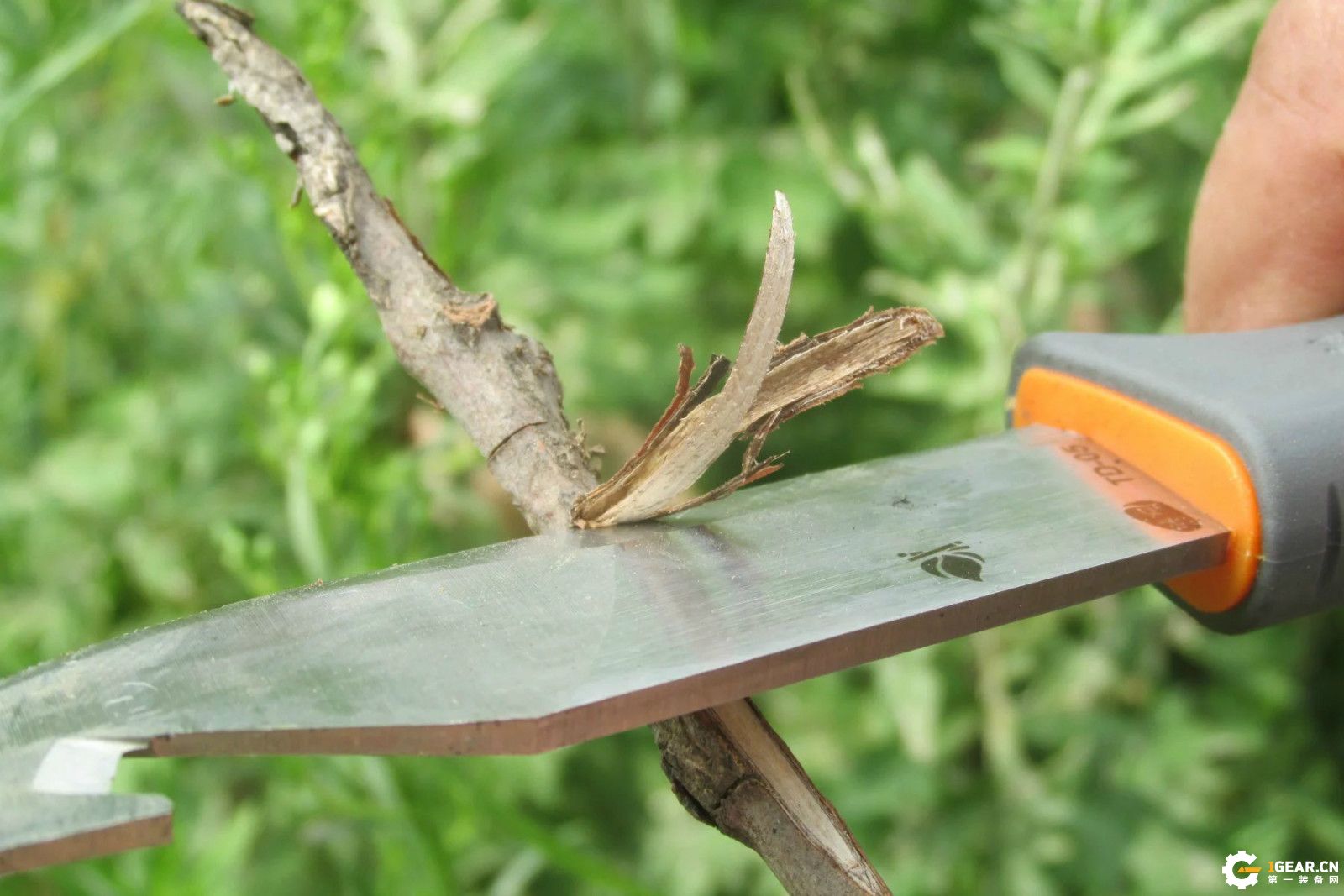 锋芒必露的效果,锋芒毕露战法