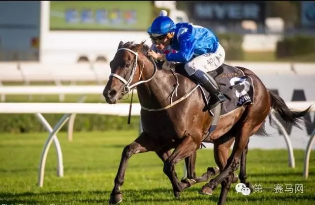 世界马匹最新排名出炉,“荣进之光”三度蝉联榜首