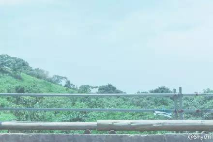 蝉鸣的夏天我想遇见你,蝉鸣的夏季我想遇见你英文