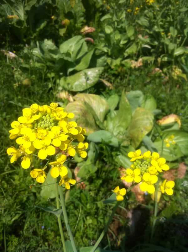 稻草人旅行有什么特色,稻草人旅行沙漠