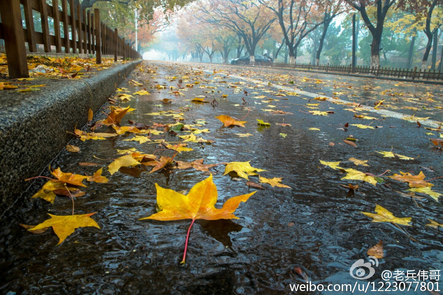 旅顺口哪个地方适合居住,住下来才知道旅顺口有多好