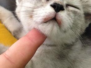 口腔溃疡怎么办呢,口腔溃疡怎么办吃维生素c有用吗